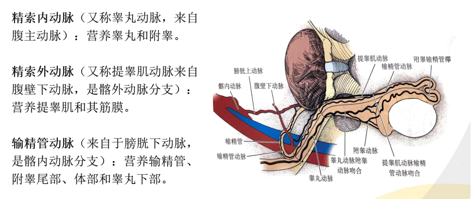 1697683911558497.png 微信图片_20231019105140.png