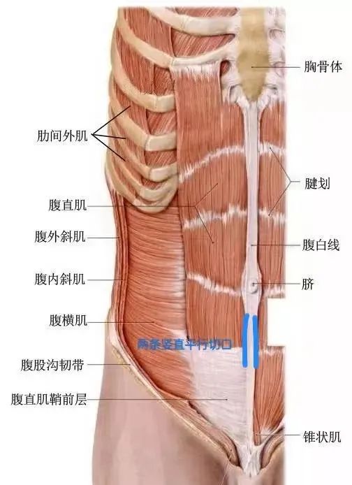 1697685366671079.jpg 微信图片_20231019111001.jpg