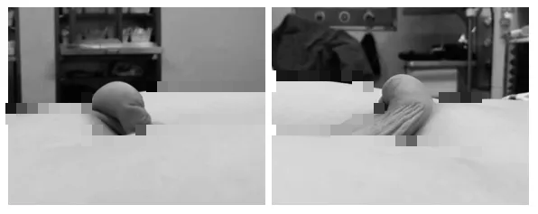 1698634796185851.png 微信图片_20231030105943.png
