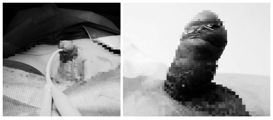 1698634868815505.png 微信图片_20231030110040.png
