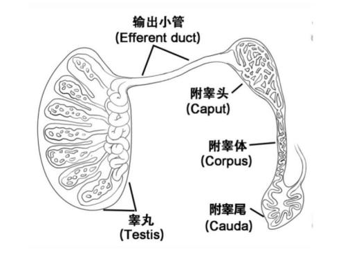 1700014320648776.png 微信图片_20231115101141.png