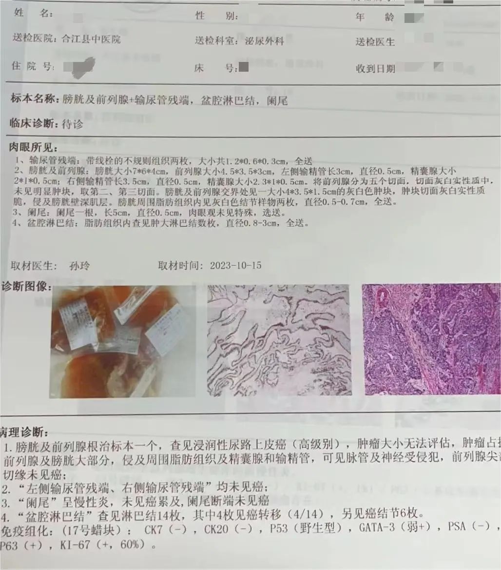 1700015341744491.jpg 微信图片_20231115102829.jpg