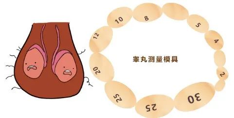 微信图片_20231116165853.jpg
