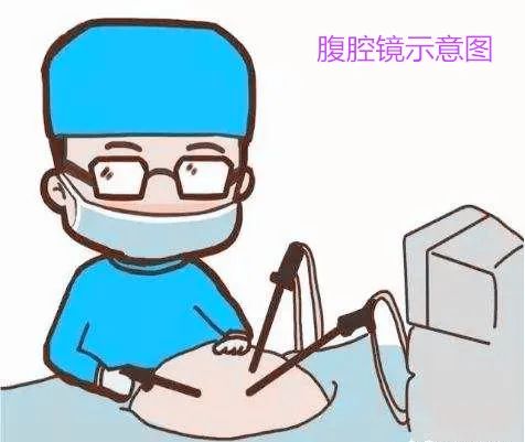 1700125724392877.jpg 微信图片_20231116170829.jpg