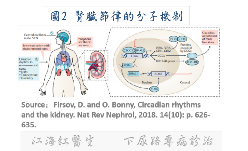 1700550706356714.png 微信图片_20231121151126.png