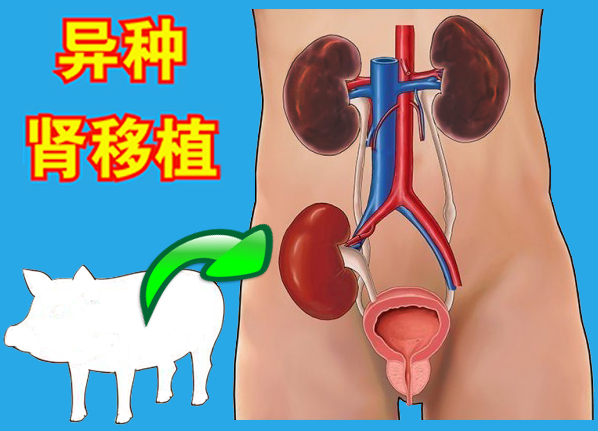 1700795941760367.png 微信图片_20231124111839.png