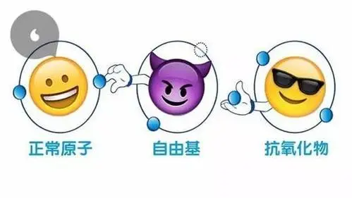 微信图片_20231206164412.png