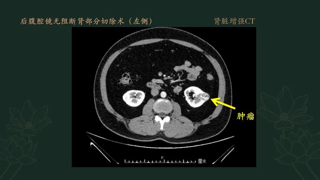 微信图片_20231207144408.jpg
