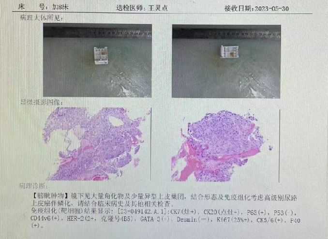 1703579363330563.jpg 微信图片_20231226162904.jpg