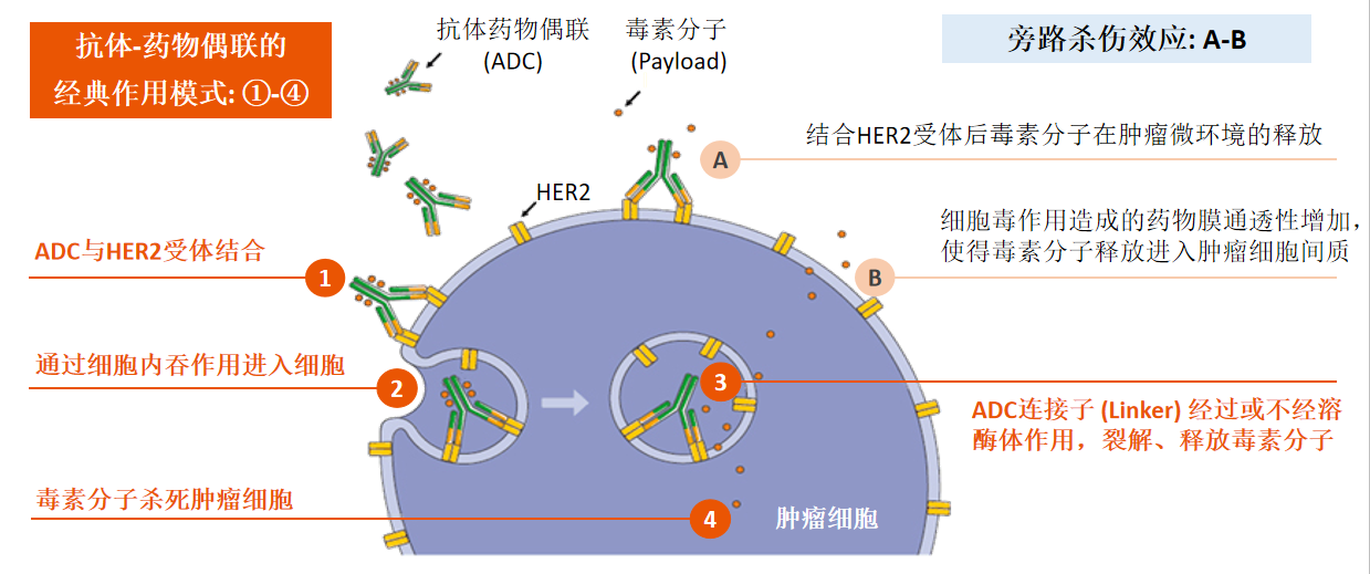 1703579474455195.png 微信图片_20231226163054.png