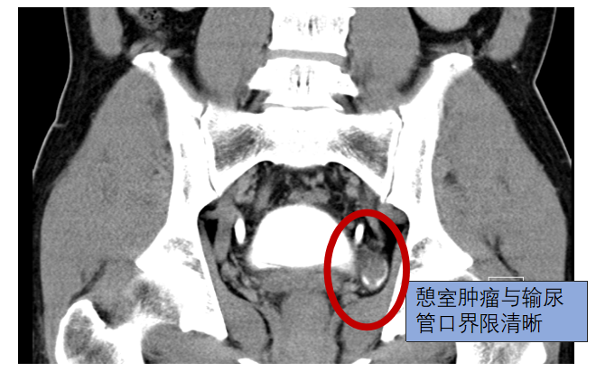 微信图片_20240102115245.png
