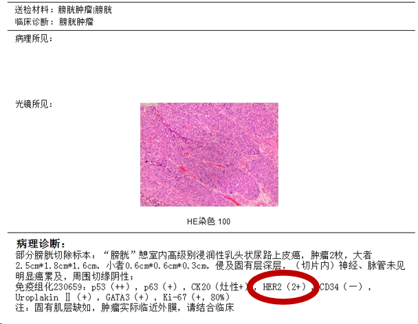 微信图片_20240102115745.png