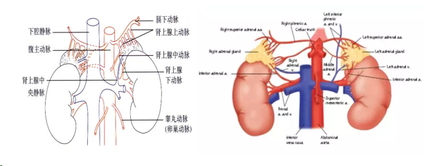 1704178144500982.png 微信图片_20240102144845.png