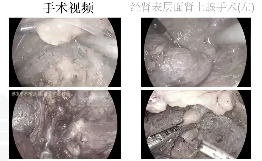 1704178282312884.jpg 微信图片_20240102145101.jpg