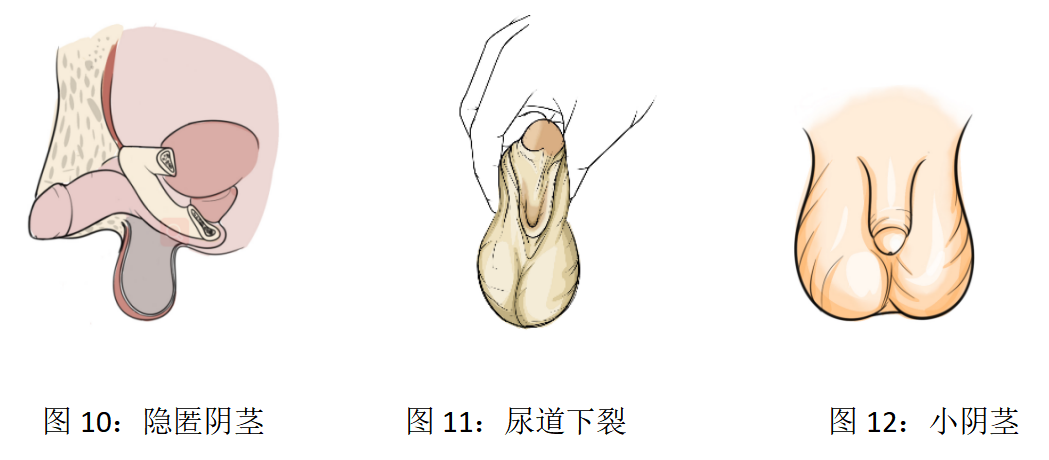 微信图片_20240125095530.png