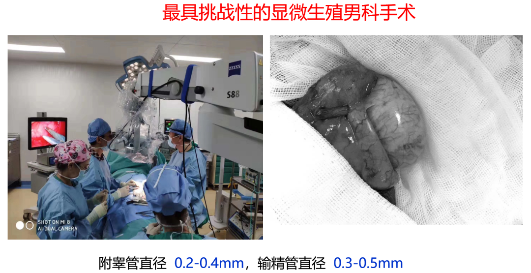 1707026056414999.png 微信图片_20240204135404.png