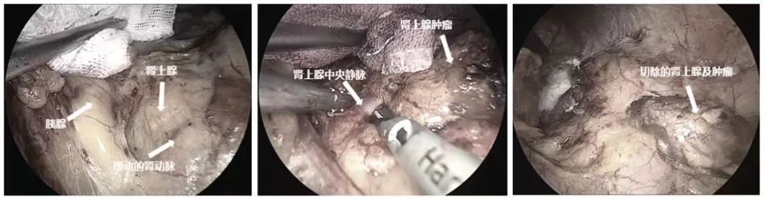 微信图片_20240204141953.jpg