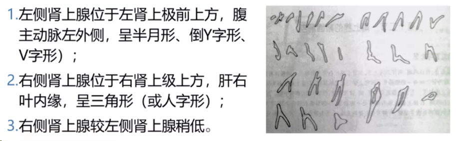 微信图片_20240204142030.png