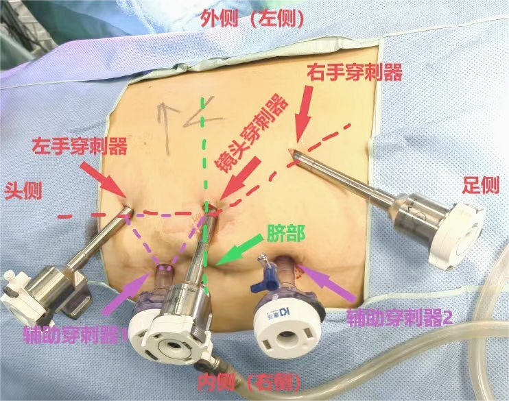 1708584831955778.png 微信图片_20240222145337.png