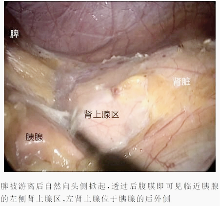 1708584963455916.png 微信图片_20240222145551.png