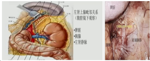 1708584978229576.png 微信图片_20240222145606.png