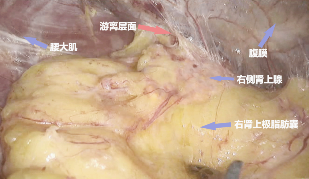 1708585066485734.png 微信图片_20240222145733.png