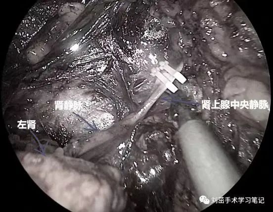 1708585115532898.jpg 微信图片_20240222145824.jpg