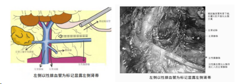 1708585483596347.png 微信图片_20240222150432.png
