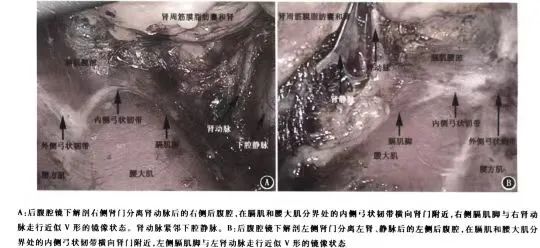 1708585618485118.jpg 微信图片_20240222150646.jpg