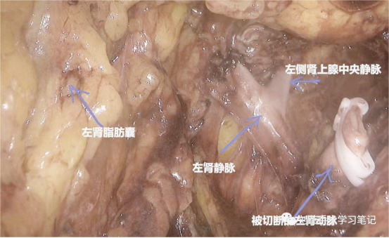 1708585680489449.png 微信图片_20240222150747.png