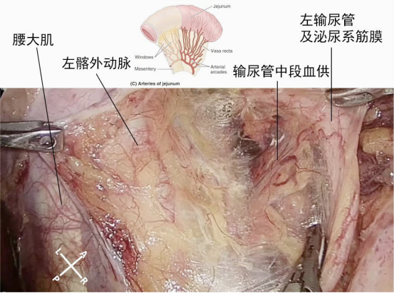 1708586792135869.png 微信图片_20240222152621.png