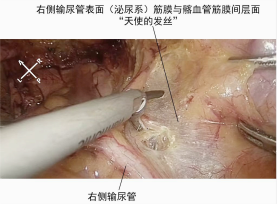 1708586806769869.png 微信图片_20240222152636.png