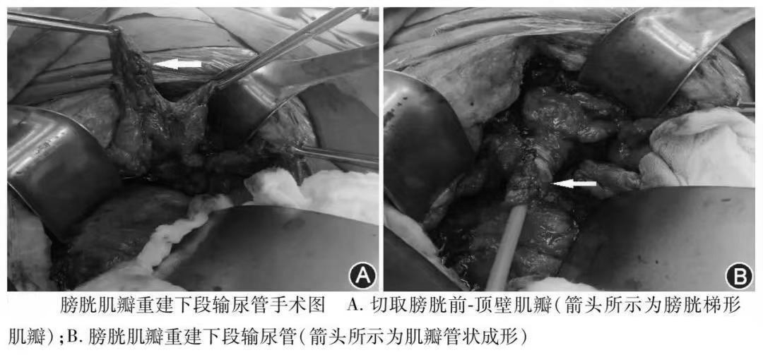 1708587529558889.png 微信图片_20240222153837.png
