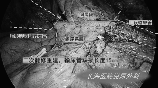 1708587669933634.png 微信图片_20240222154059.png