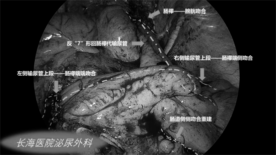 1708587693234670.png 微信图片_20240222154113.png