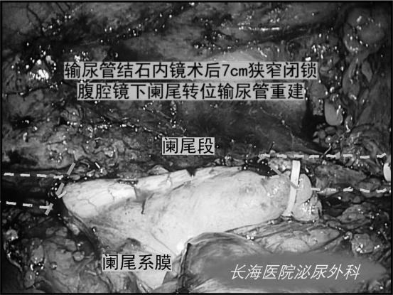 1708588348286972.png 微信图片_20240222155215.png
