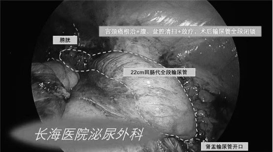 1708588365481957.jpg 微信图片_20240222155233.jpg