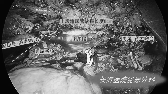 1708588395514794.png 微信图片_20240222155302.png