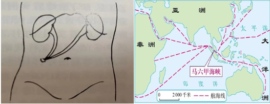 1708588672824560.png 微信图片_20240222155739.png