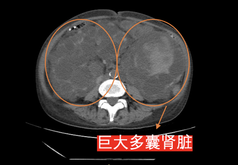 微信图片_20240227141804.png