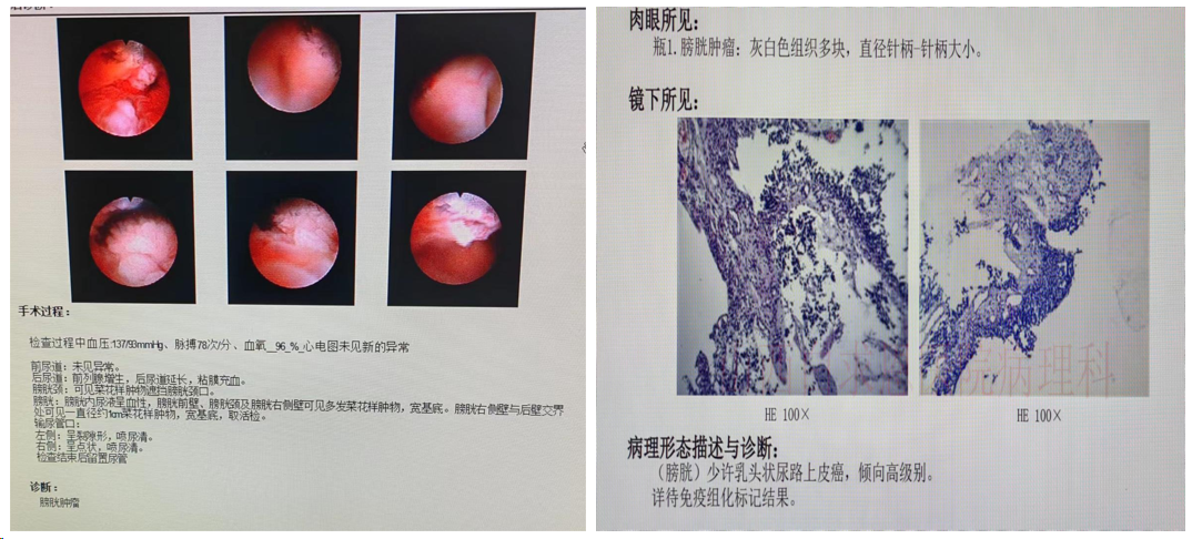 1709083781781709.png 微信图片_20240227142352.png
