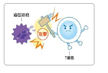 1709083834141967.png 微信图片_20240227142522.png