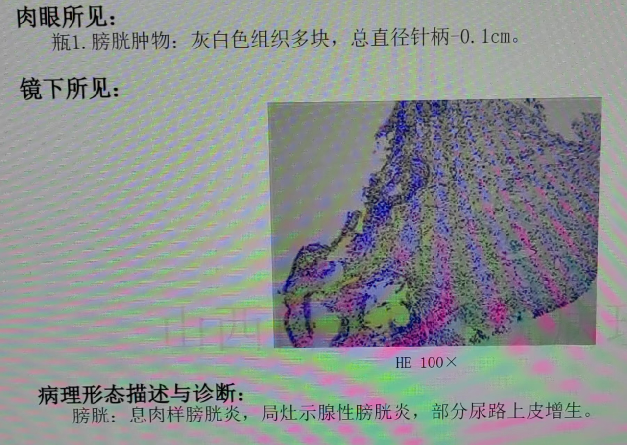 1709083860744706.png 微信图片_20240227142544.png
