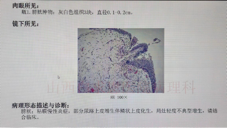 1709084057653818.png 微信图片_20240228093407.png