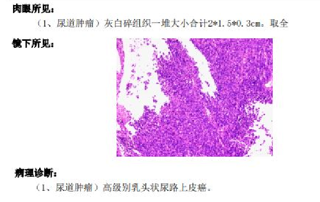 1709085115315736.png 微信图片_20240228095133.png