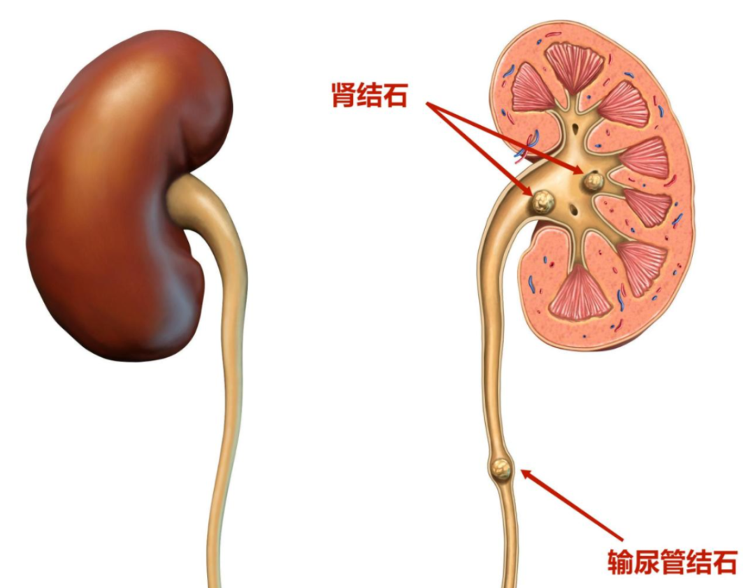 微信图片_20240318163347.png