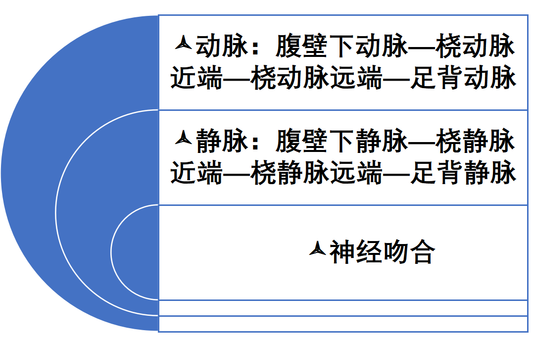 微信图片_20240322154601.png