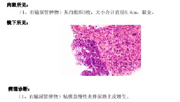 1711699934846406.png 微信图片_20240329161201.png