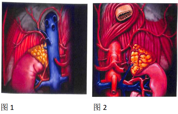 微信图片_20240403094705.png
