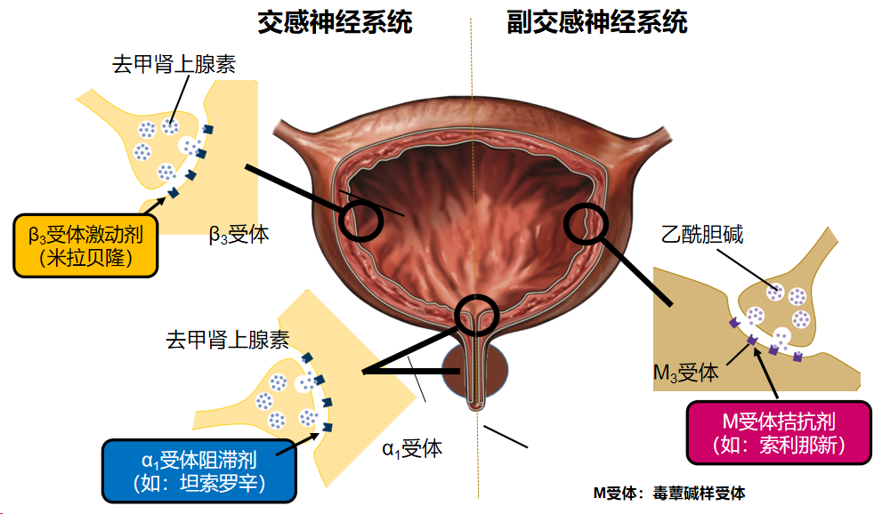 1712128965566936.png 微信图片_20240403152236.png